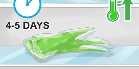 Opbevaring af aloe vera-blade