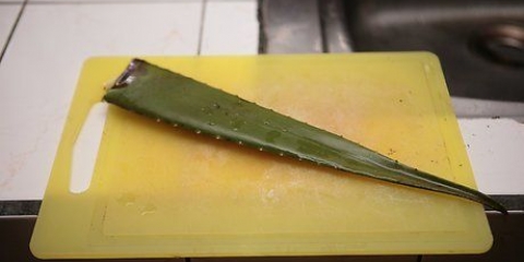 Fremstilling af aloe vera juice