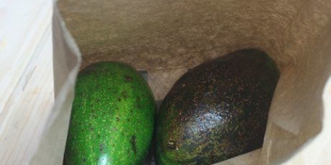 Opbevare avocado