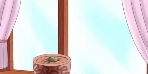 Dyrkning af avocadoer