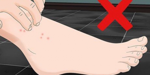 Behandling af sandloppebid