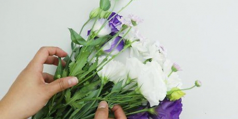 Tørring af blomster