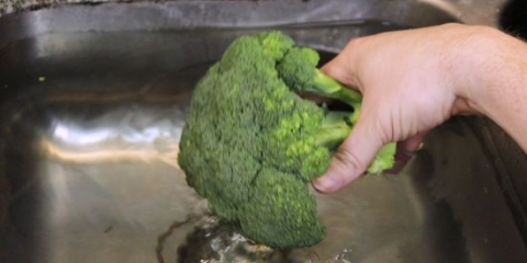 Rengøring af broccoli