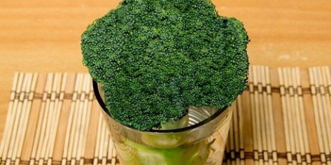 Holder broccoli frisk