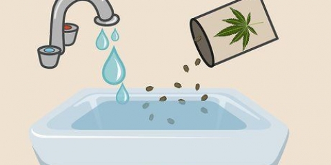 Plantning af cannabisfrø indendørs