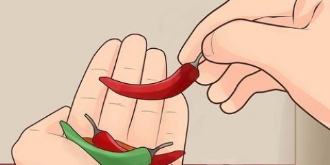 Dyrkning af chilipeber