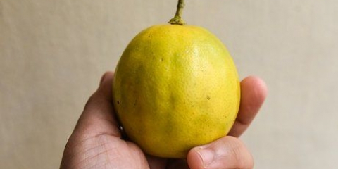 Modne citroner