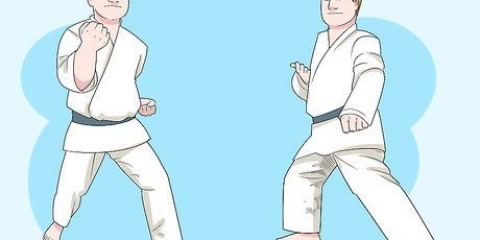 Forstå det grundlæggende i karate