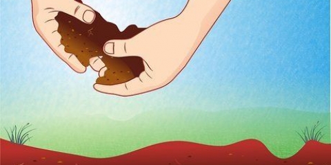 Forberedelse af jorden til tomatplanter