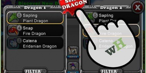 Dyrkning af regnbuedragen i dragonvale