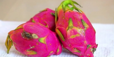 Spise dragefrugt (pitaya)