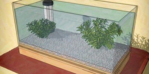 Drej et akvarium
