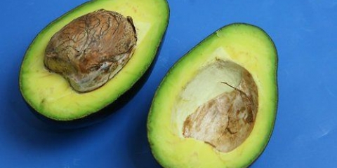At spise en avocado