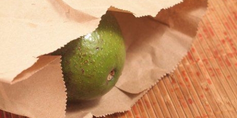 Modne en avocado