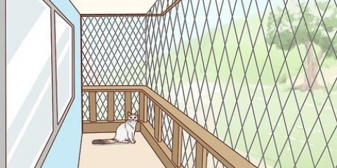 Gør en altan sikker for katte