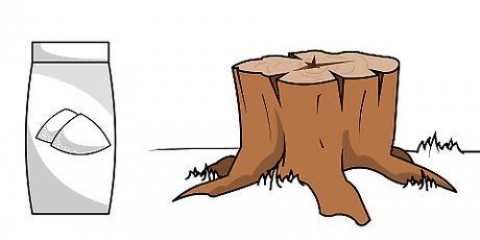 Dræb en træstub
