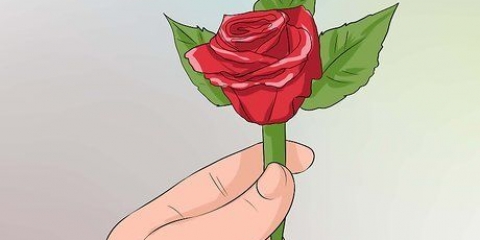 Fastgør en boutonniere