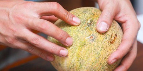 Køb en cantaloupe