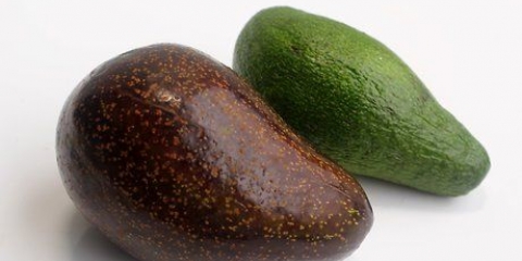 Køb en god avocado