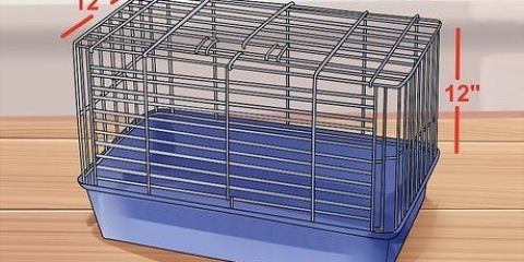 Valg af et godt hamsterbur
