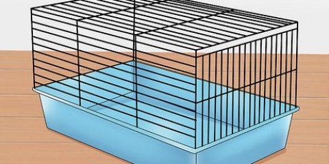 At tæmme en hamster