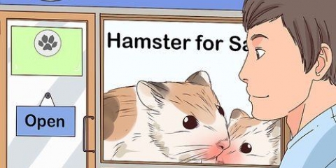 At tage sig af en hamster