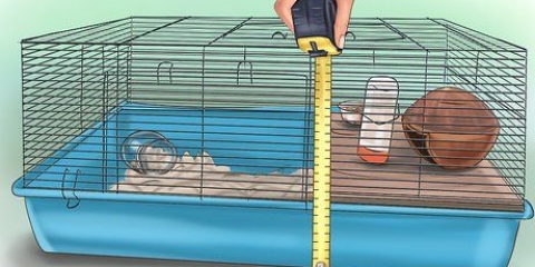 Opsætning af hamsterbur