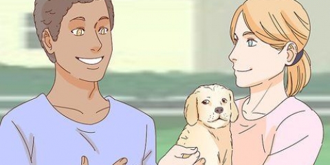 Kæle med en hund