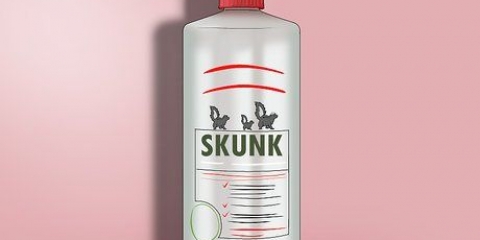 At tage sig af en hund, der er blevet sprøjtet af en skunk