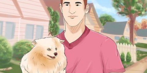 At give en hund et nyt navn