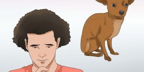 Læg en hund ned
