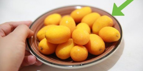 Spise en kumquat