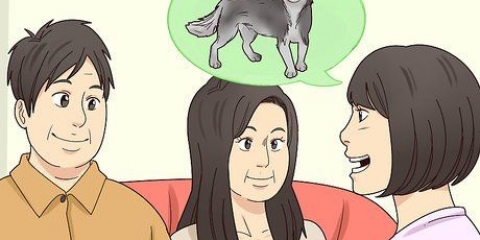 Leder du efter et nyt hjem til din hund