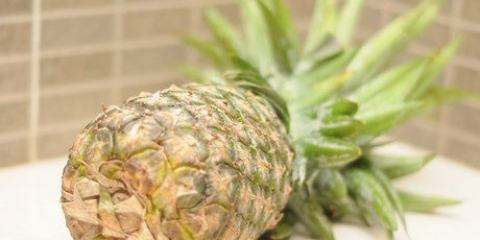 Modne en umoden ananas