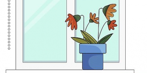 Redder en overgødet plante