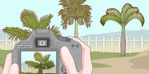 Fjern en palme
