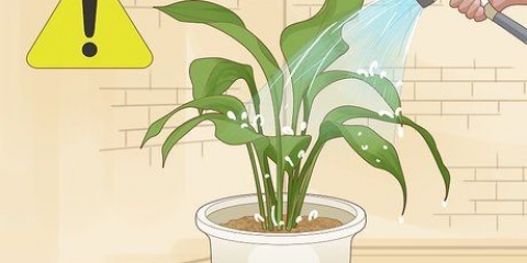 Redder en plante, der er blevet overvandet