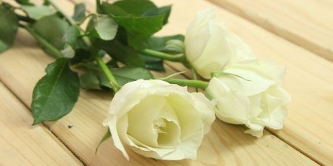At lave en regnbuerose