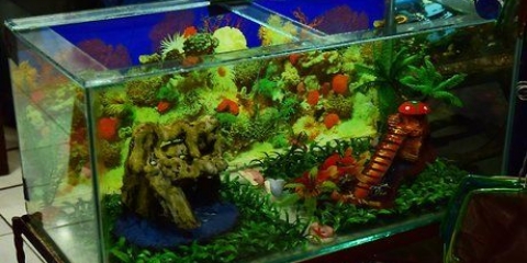 Sæt en skildpaddetank op