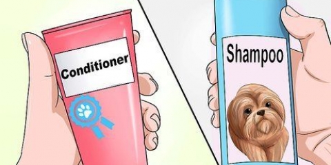 Vask en shih tzu-hvalp