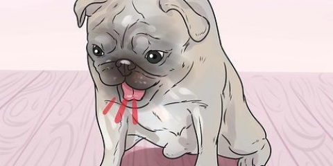 Redder en kvælende hund