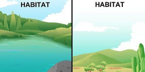 Tegning af et fødenet