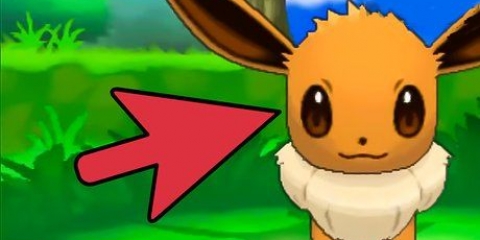 Eevee eevee til espeon eller umbreon