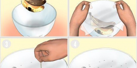 Bekæmpelse af frugtfluer