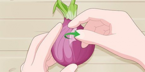 Plant spirede løg