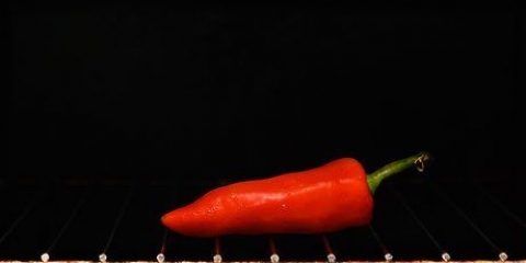 Laver harissa