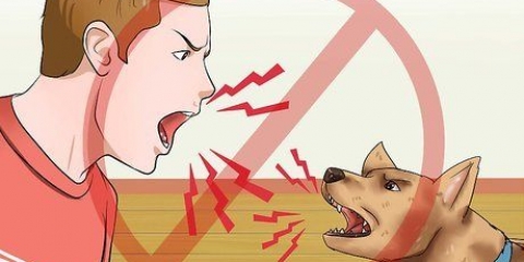Træning af hunde til ikke at gø
