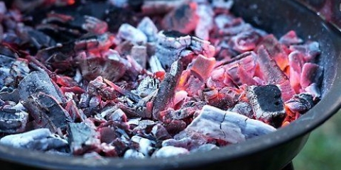 Tilberede hotdogs