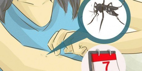 At tage sig af nogen med dengue