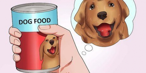 Få din hund til at sluge en pille